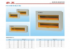 pz30配电箱（大型）